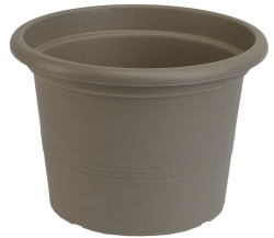 Саксия Campanula 23 снимка-5