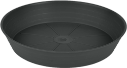 Подложка за Campanula 40 снимка-6