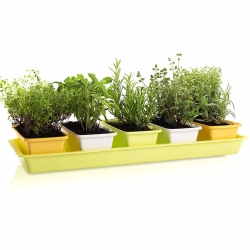 Комплект сандъчета Minigarden - Пролетен микс снимка-0